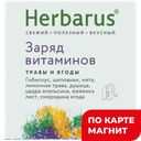 HERBARUS Чайный напиток Заряд витаминов 10пак 18г:12