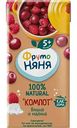 Компот неосветлённый детский ФрутоНяня Вишня и малина, с 5 месяцев, 200мл