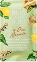 Шоколад гречишный NATURES OWN FACTORY с имбирем и лимоном, 20г