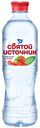 Вода питьевая Святой Источник негазированная со вкусом клубники 0,5 л