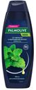 Шампунь для волос Palmolive Men от перхоти и выпадения волос с экстрактом мяты, 380 мл