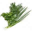 Зелень Global Village Ассорти лук, укроп и петрушка 70г