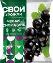 Смородина черная замороженная СВОЙ УРОЖАЙ