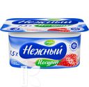 БЗМЖ Йогурт CAMPINA НЕЖНЫЙ 100г в ассортименте