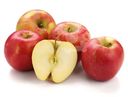 Яблоки Медовый хруст