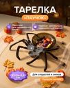 Тарелка "Паучок", в ассортименте