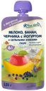 Пюре Fleur Alpine яблоко-банан-черника-йогурт-злаки с 6 месяцев 120 г