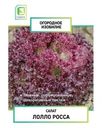 Семена Поиск Огородное изобилие Салат Лолло Росса, 1г