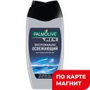 Гель для душа ПАЛМОЛИВ МЕН Арктический ветер, мужской, 3 в 1, 250мл