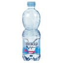 Вода питьевая СЕНЕЖСКАЯ, Минеральная газированная, 500мл