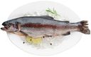 Форель радужная потрошёная с головой