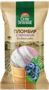 Мороженое СЕЛО ЗЕЛЕНОЕ пломбир Черника вафельный стаканчик, 70г