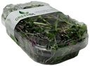 Микрозелень салат витаминный микс GreenDL 40 г