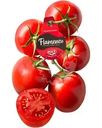 Томаты Фламенко сливовидные