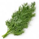 Укроп Global Village свежий 50г