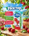 Нектар, Мой, 0,2 л, в ассортименте