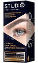 Крем-краска для бровей и ресниц Studio Professional стойкая графит