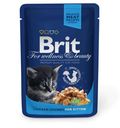 Корм для котят Brit Premium с курочкой, 100 г