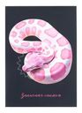 Записная книжка, А5, 80 листов, в ассортименте