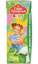 Сок Сады Придонья Kids яблочный с 4 месяцев, 200мл