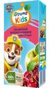 Сок ФрутоKids Яблоко и Вишня осветленный 200мл