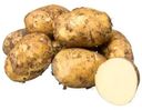 Картофель ранний