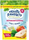 Чай «#Когда я вырасту» детский груша с яблоком с 6 мес., 85 г