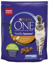 Сухой корм Purina ONE Природа Здоровья с облепихой и индейкой для взрослых кошек 680 г