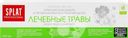 Зубная паста SPLAT Medical Herbs Professional, 100мл