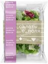Смесь салатная Салаты с Поля рукола-радиччо-фриссе, 75г