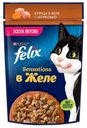FELIX Sensations Желе для кошек курица морковь, 75г