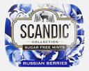 Конфеты освежающие смородина и базилик без сахара Scandic 14г