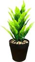Растение искусственное в пластиковом горшке Диффенбахия, цвета в ассортименте, Арт. LY21AP0130