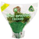 Салат Фриллис в горшочке СХПК Комбинат Тепличный 1шт