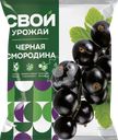 Смородина черная замороженная СВОЙ УРОЖАЙ, 300г