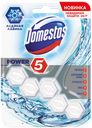 Блок для очищения унитаза Domestos Power 5 Ледяная лавина, 55 г