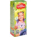 Нектар Сады Придонья Яблоко-слива с мякотью, с 5 месяцев, 0,2 л