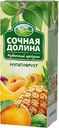 Напиток сокосодержащий Сочная Долина мультифруктовый, 200мл