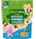 Каша детская Gipopo Мультизлаковая молочная Яблоко-Вишня с 6 месяцев 170г