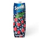 Напиток Santal Лесные ягоды 1л
