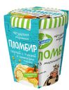 Мороженое пломбир Из молочного края сыр с тыквенным наполнителем и ядрами семян 12%, 270г