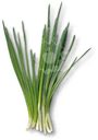 Лук зеленый Маркет Fresh, 100г