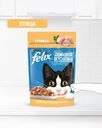 Влажный корм для взрослых кошек "Домашняя вкуснятина", FELIX, с птицей, 75 г