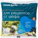Салатный микс Босфор Белая Дача для рецептов от шефа Айсберг кейл шпинат радиччо, 130 г
