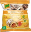 Пряники заварные КАРАВАЙ Абрикос, 300г