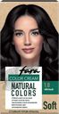 Краска для волос FARA Natural 301 черный