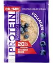 Каша овсяная Champ Черника протеиновая со льном, 40г