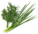 Зелень Global Village Укроп и лук 100г