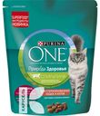 Корм PURINA ONE сухой для котят и кошек, 200г в ассортименте
