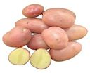 Клубни Картофель семенной Гранд, 2 кг